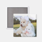 White Fins Lapphund Puppy Cute Magneet (Voorkant / Achterkant)