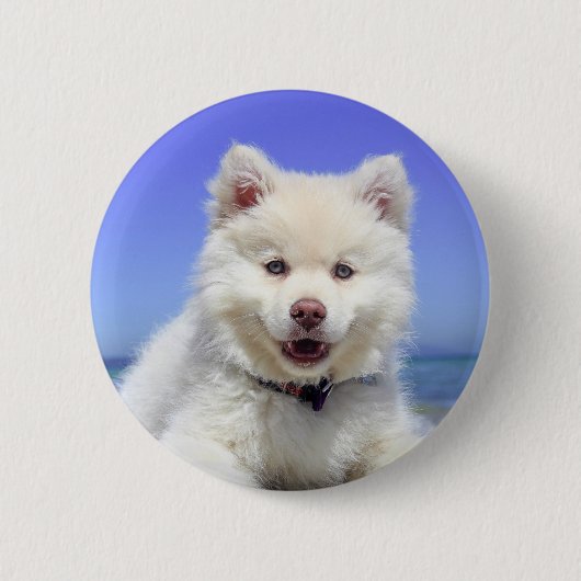 White Fins Lapphund Puppy Cute Ronde Button 5,7 Cm (Voorkant)