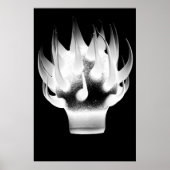 White Flame Poster (Voorkant)