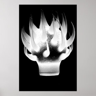 White Flame Poster