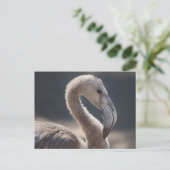 White Flamingo Bird Briefkaart (Staand voorkant)