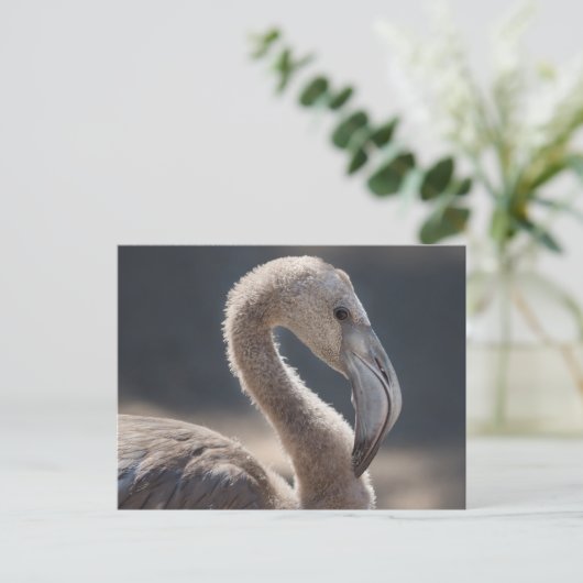 White Flamingo Bird Briefkaart (Staand voorkant)