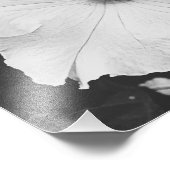 White Floral 10x8 foto Afdruk (Hoek)