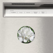 White Floral fotografie Magneet (Insitu (Vaatwasser))
