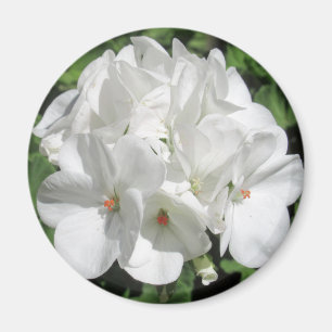 White Floral fotografie Magneet