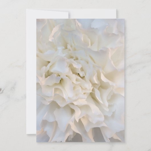 White Floral Quinceañera Save the Date (Achterkant)