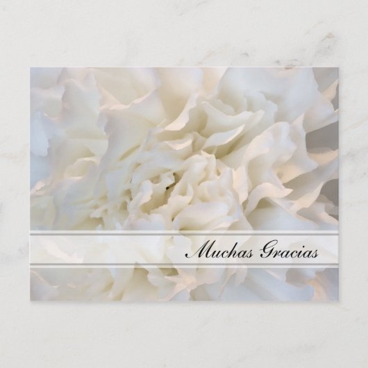 White Floral Spaans Dank je Briefkaart (Voorkant)