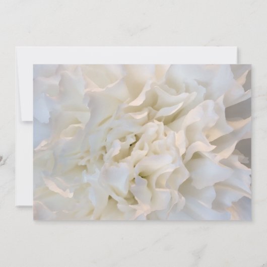 White Floral Wedding Save the Date Kaart (Achterkant)