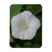 White Flower 3" x4"-magneet Magneet (Verticaal)