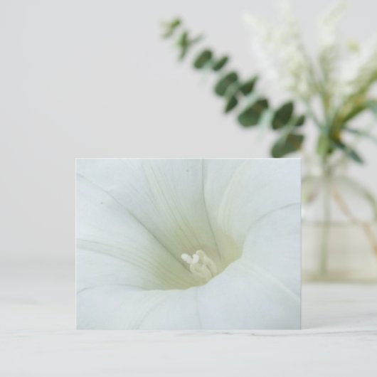 White Flower Briefkaart (Staand voorkant)