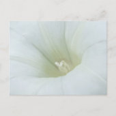 White Flower Briefkaart (Voorkant)