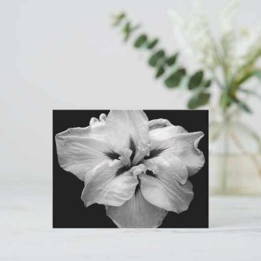 White Flower Briefkaart (Staand voorkant)