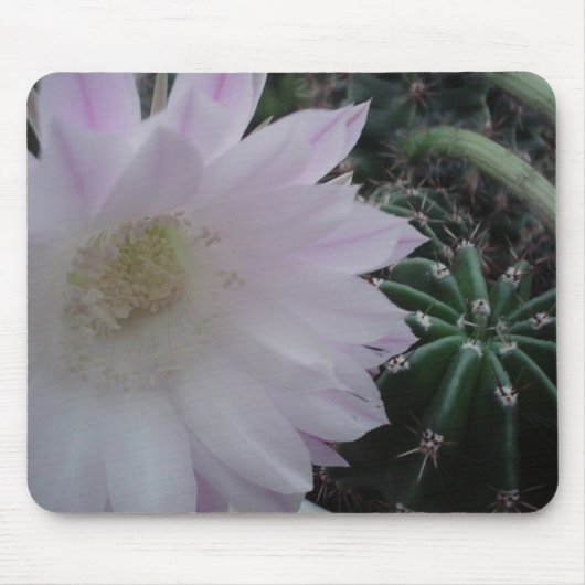 White Flower Cactus Muismat (Voorkant)