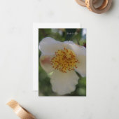 White Flower, close-up Notitiekaartje (Voorkant / Achterkant in situ)