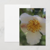 White Flower, close-up Notitiekaartje (Voorkant / Achterkant)