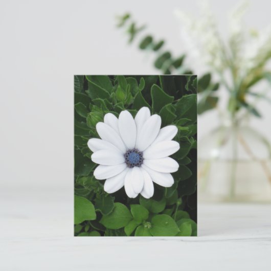 White Flower Custom briefkaart (Staand voorkant)