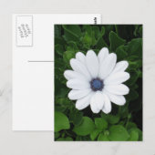 White Flower Custom briefkaart (Voorkant / Achterkant)
