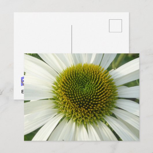 White Flower DIY Briefkaart (Voorkant / Achterkant)
