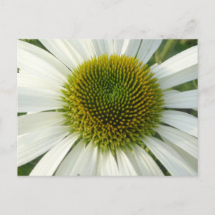 White Flower DIY Briefkaart