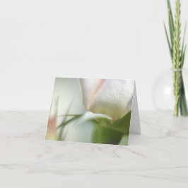 White Flower Folded Wenskaart Kaart