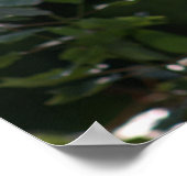 White Flower Foto Poster (Hoek)