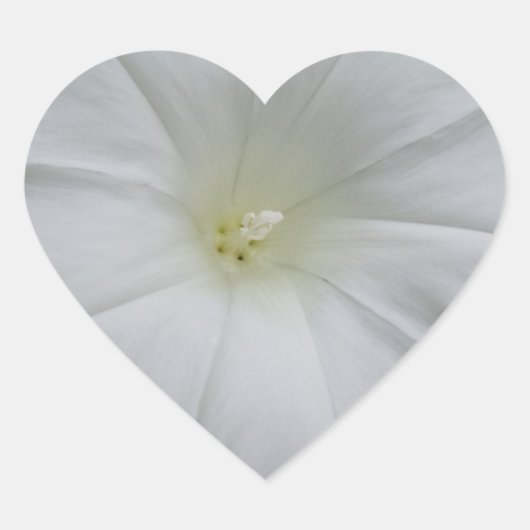 White Flower Heart Sticker (Voorkant)
