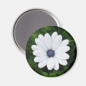 White Flower magnet (Voorkant / Achterkant)