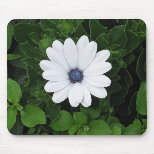 White Flower mousepad Muismat (Voorkant)