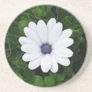 White Flower onderzetter