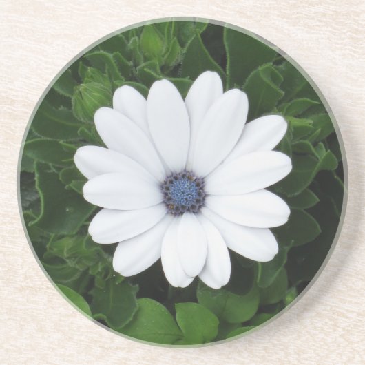 White Flower onderzetter (Voorkant)