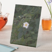 White Flower Photo Reclamebord Met Voetstuk (Insitu)