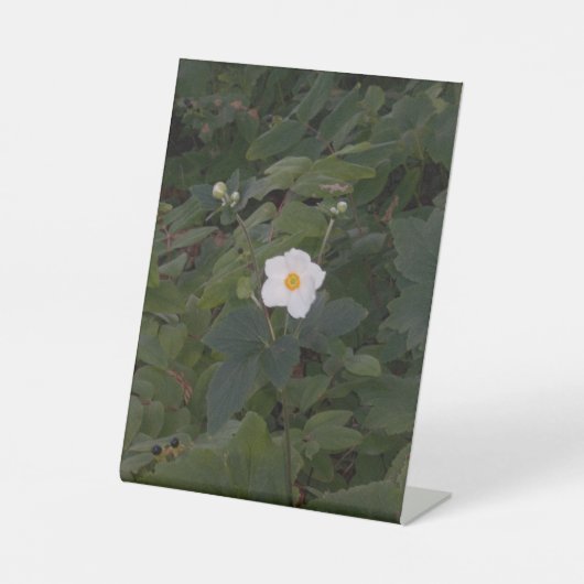 White Flower Photo Reclamebord Met Voetstuk (Voorkant)