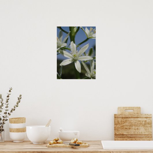 White Flower Poster (Keuken)