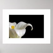 White Flower Poster (Voorkant)