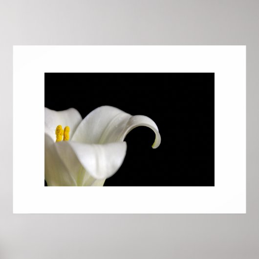 White Flower Poster (Voorkant)