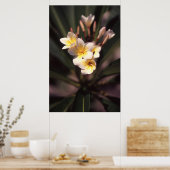 White Flower Poster Paper (Matte) (Keuken)