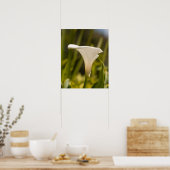 White Flower Poster Paper (Matte) (Keuken)