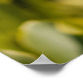 White Flower Poster Paper (Matte) (Hoek)