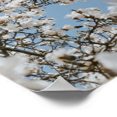 white flower sea poster (Hoek)