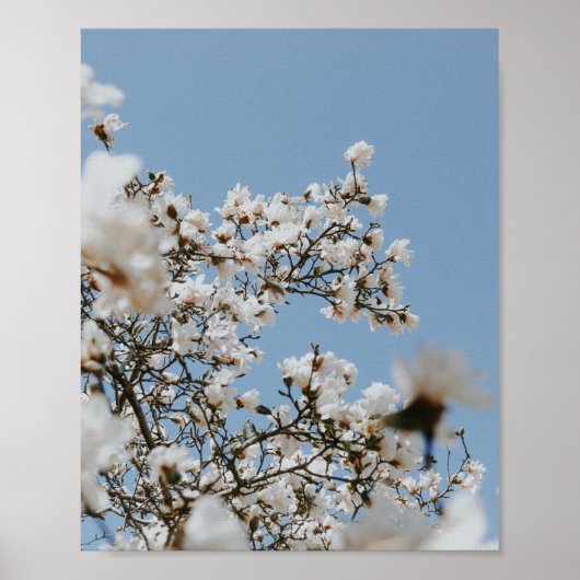 white flower sea poster (Voorkant)