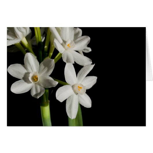 White Flower Spring Event and Wedard Card (Voorkant Horizontaal)