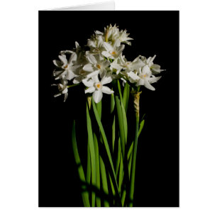 White Flower Spring Event and Wedard Card