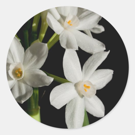 White Flower Spring Event and Wedding Sticker (Voorkant)