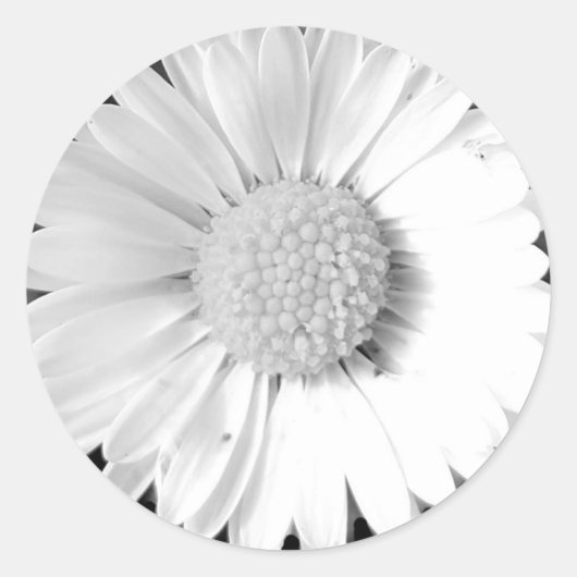 White Flower Sticker (Voorkant)