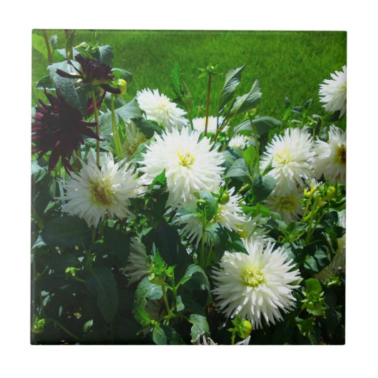 White Flower Tile Tegeltje (Voorkant)