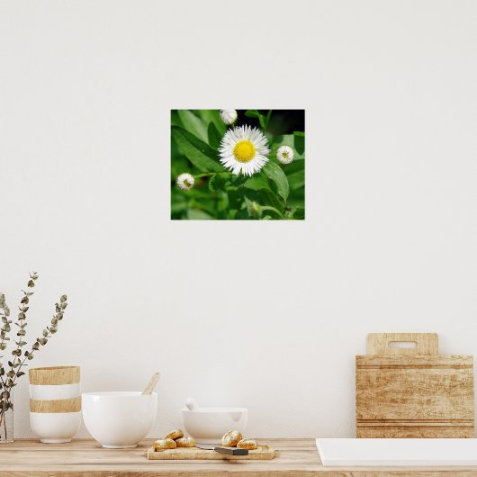 White Flower Weed Poster (Keuken)