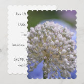 White Flowering Allium Kaart (Voorkant / Achterkant)
