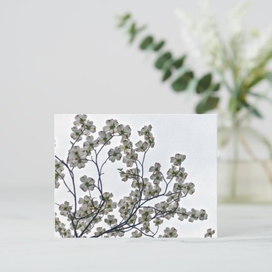 White Flowering Dogwood Briefkaart (Staand voorkant)