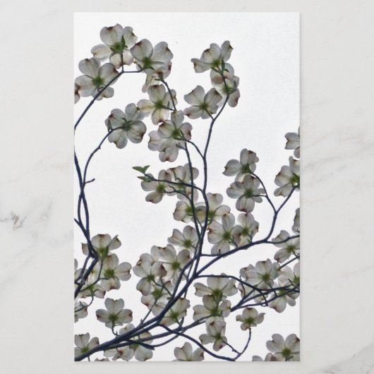 White Flowering Dogwood Briefpapier (Voorkant)
