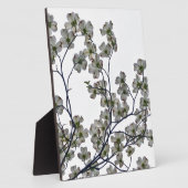 White Flowering Dogwood Fotoplaat (Zijkant)